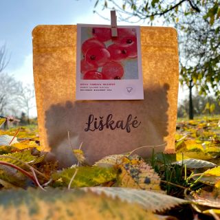 Na letošní sklizeň z Keni jsme si museli počkat z léta až do podzimu. Logistická situace v Rudém moři a v Suezském...